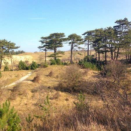 B&B Noordzee-Kerstdeco-Sauna-Strand7Km-Kennemerduinen Driehuis Exterior photo